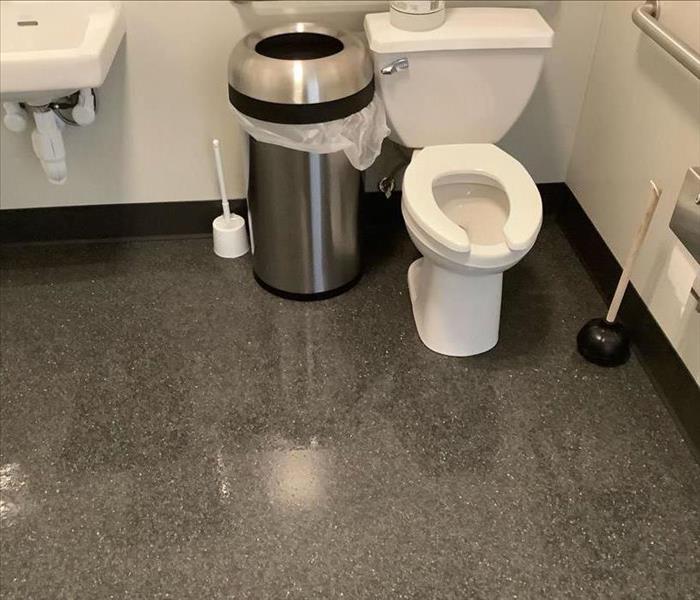 Professionally cleaned surfaces after toilet 