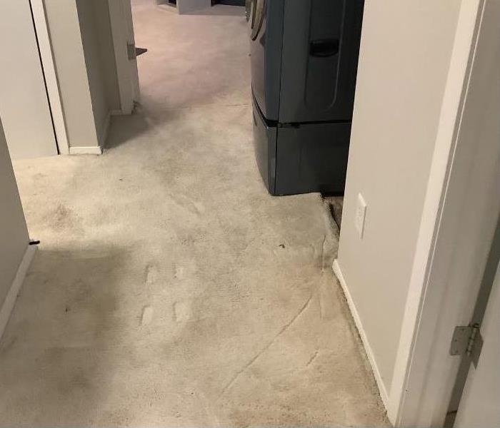 Dried carpet in front of washer and dryer