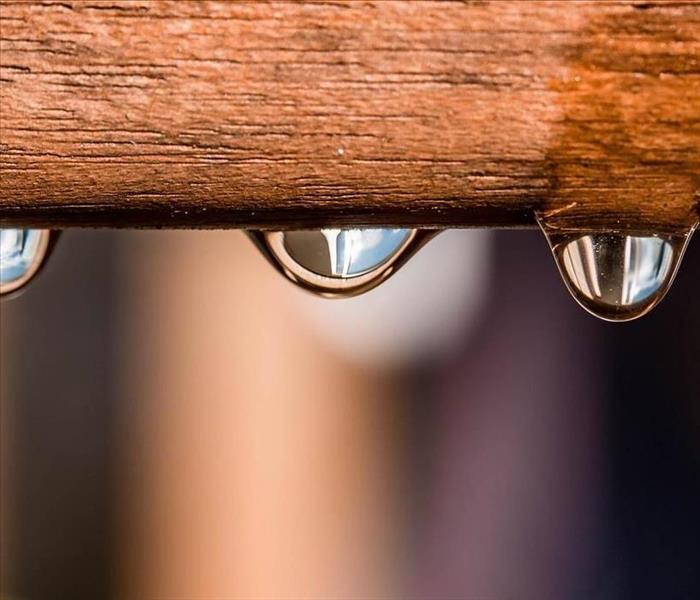 Water dripping off piece of wood